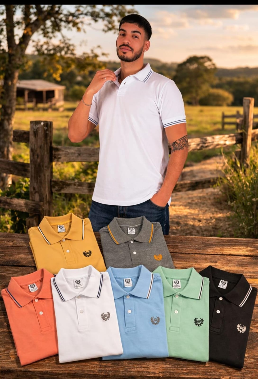 Chomba Hombre M/C Algodon Peinado T1 a T6 (colores varios)